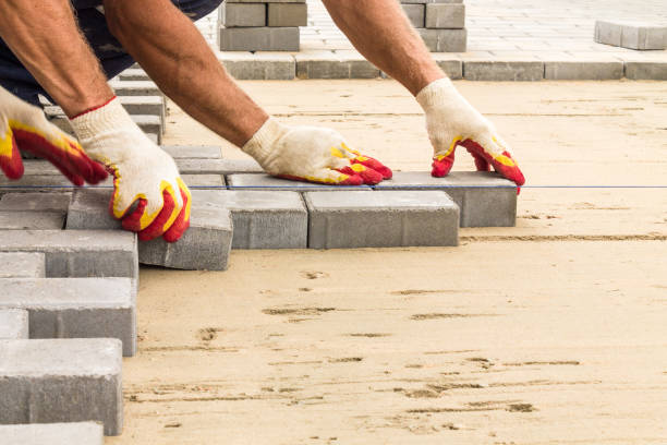 Best Residential Paver Driveway  in International Falls, MN