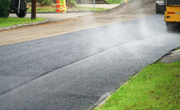 Best Interlocking Driveway Pavers  in International Falls, MN